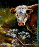 Cow Parsley (10insx12ins) €450