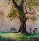 Morning Mist  <p style="font-size:12pt;">(SOLD)</p>