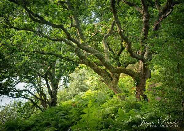 Spring At The Reservoir
