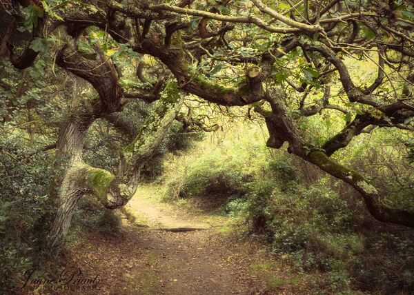 A Place Not To Linger