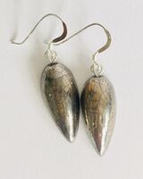 Silver teardrop ceramic earrings.