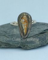Porcelain ring with silver and gold.