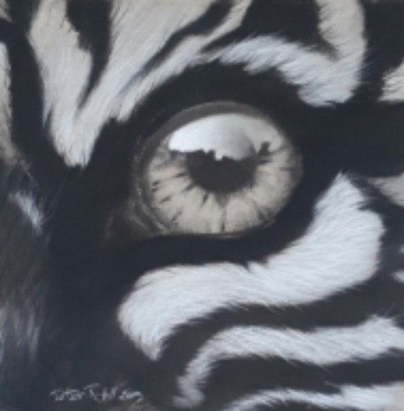 Tiger Eye
