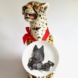 JUNE 2017 - NEW SHOP LAUNCH!