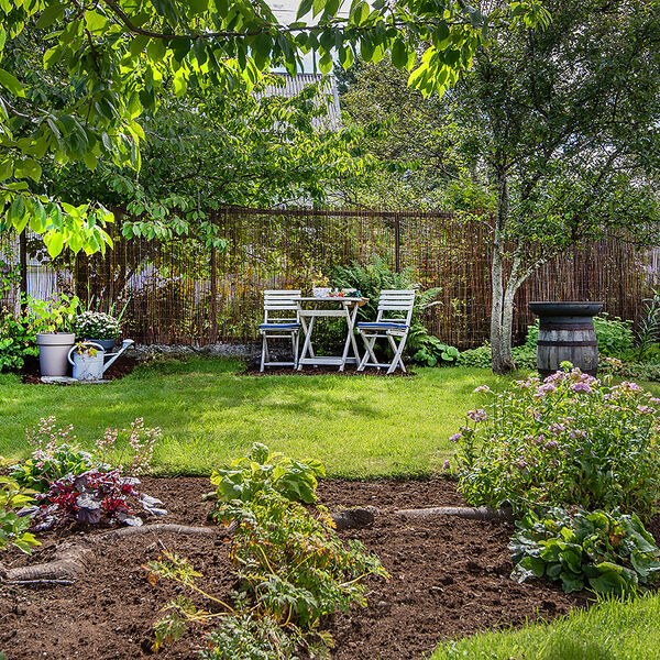 Et sted for kaffeselskap