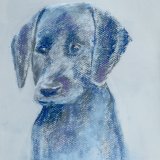 learning to sit