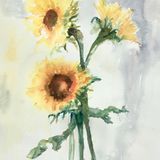 Sun lovers