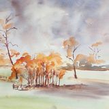 autumn Field