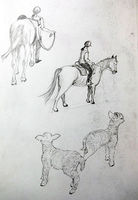 Horses & Sheep