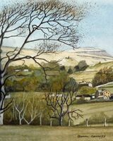 Whenside from Raber Top Ingleton YDNP