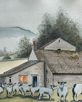 Gill Head Chaple le Dale YDNP