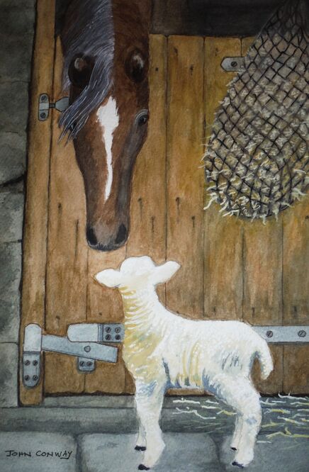 Inca & Lamb Raber Top