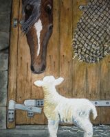 Inca & Lamb Raber Top