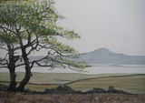 Ingleborough from Turbary Road (SOLD)
