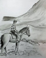 Carole on Red ridng up Ingleborough