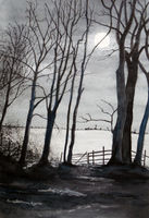 Full Moon in Ribble Woods - Hurst Green