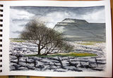 Ingleborough from Lead Mines Moss