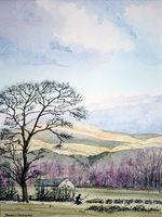 Kingsdale from Raber Top Farm (SOLD)