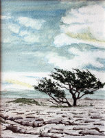 Lead Mines Moss Ingleborough (SOLD)