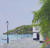 Bayards in Bloom
