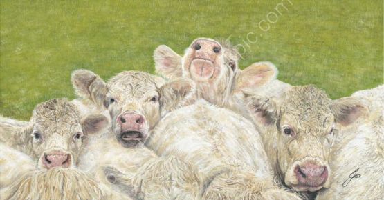 Moo've Over