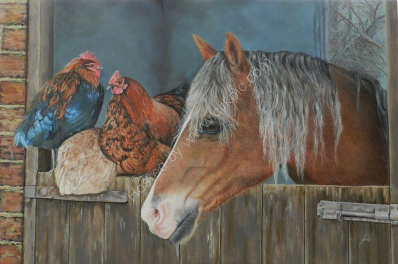 Stablemates