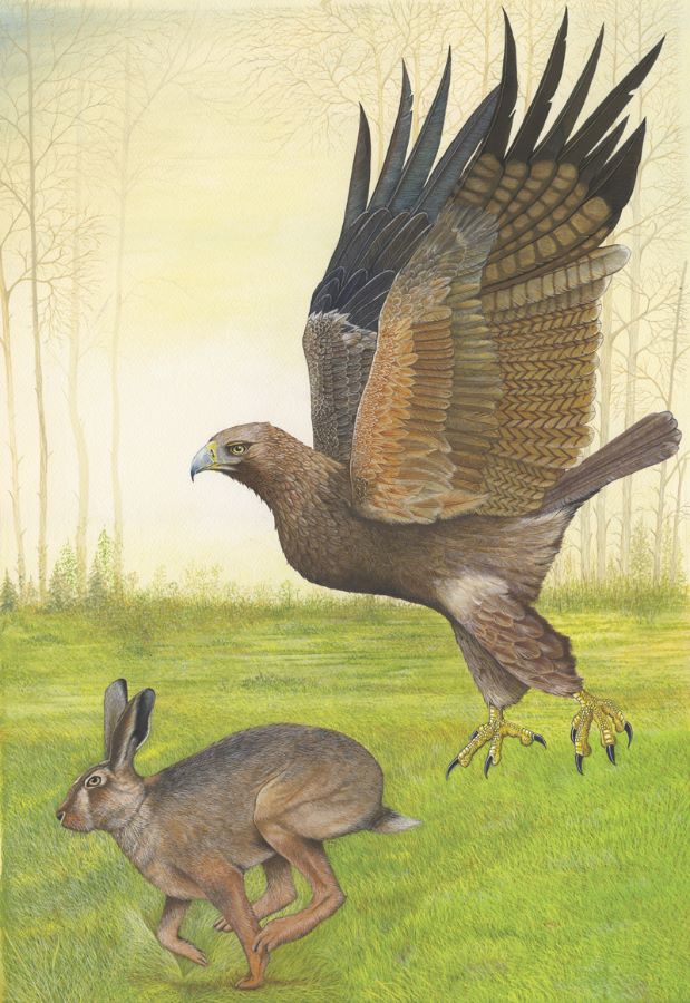 67-74 composite