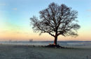 Early morning near Himley Park