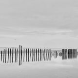 West Wittering