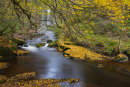 Sgwd yr Eira, through autumn leaves
