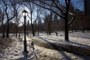 Central Park after a snowfall, February.