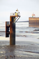Cormorants near Cardiff Barrage