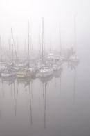 Morning mist over the River Ely