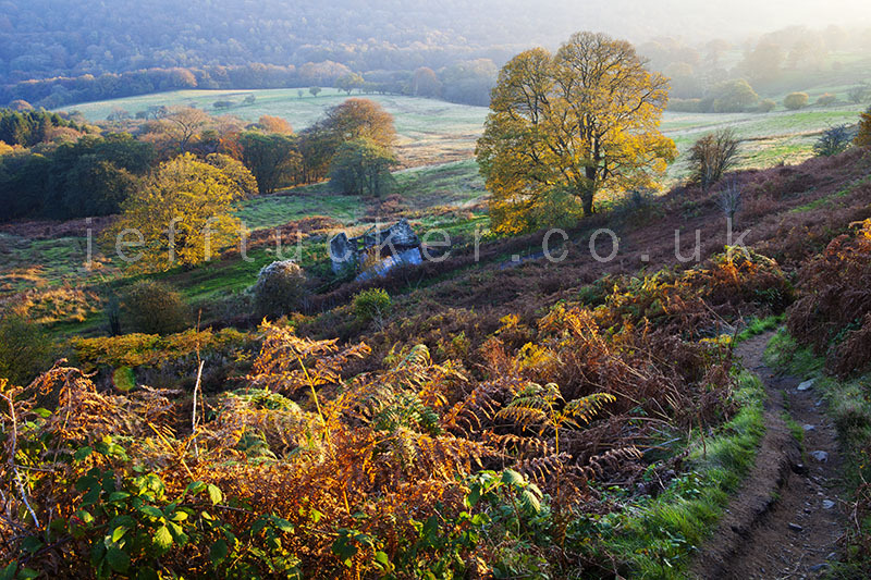 View from Garth Mountain, Autumn