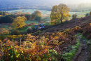 View from Garth Mountain, Autumn
