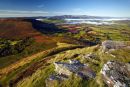 Mynydd Troed view