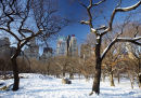 Central Park, February