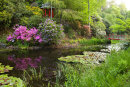 Portmeirion gardens