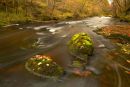 The River Mellte, Autumn