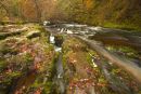Above Sgwd Pannwr, autumn