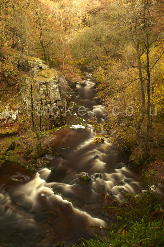 Autumn colour, Ystradfellte