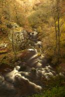 Autumn colour, Ystradfellte
