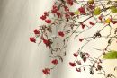 Rowan Berries 2