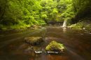 Sgwd Gwladus, on Afon Pyrddin, after heavy Summer rain.