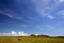 Skomer Island landscape, big sky.