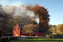 Red washed cottage at St Fagans Museum