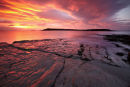 Sully Island dawn