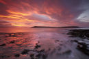 Sully Island dawn