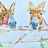 Donkeys