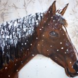 Snowy Horse